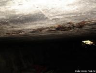 Imagine atasata: 25.03.2014  36.jpg